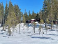 Mysig fjällstuga med avskilt läge, nära skidanläggningarna