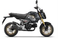 Honda MSX125 -24