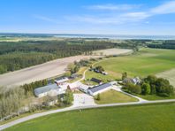 Boende på lantgård, aktiviteter, närhet till djur och natur