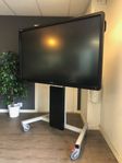 Touchskärm CTOUCH 65", inkl. Höj & Sänkbart Rullstativ