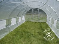 Tunnelväxthus 4x10,6x2m, 42,4m², transparent - växthus