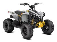 Can-Am Renegade 110 EFI