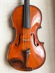 Mörk och fyllig fransk viola altfiol