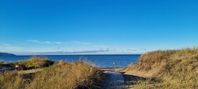 Mysigt sommarhus ett stenkast från stranden uthyres