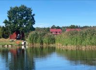 Lantgårdsstuga på levande gård med djur