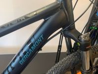 MTB Bergamont Rev 5