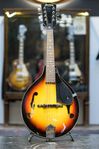 1979 (approx) Suzuki MF-130 Mandolin sunburst