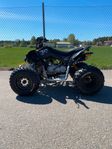 Can-Am DS90X Sommarens coolaste barn atv