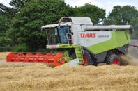 Claas Lexion 400/500/600 serie köpes