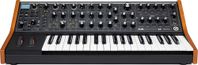 Moog Subsequent 37