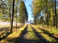 Ladda batterierna i naturskön miljö