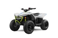 CFMOTO CFORCE EV110 CFORCE EV110