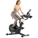 SPINNINGCYKEL / PLATINUM SB10