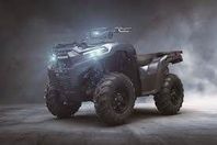 Kawasaki Brute Force 2024 750