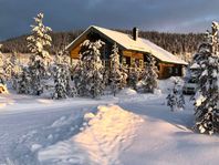 Mysig fjällstuga i sydväst, Ski in- Ski out Idre Himmelfjäll