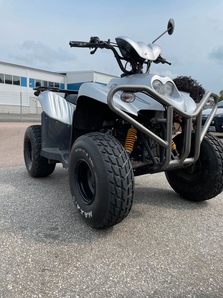 PGO Scooters x-rider 50 0.05 CVT