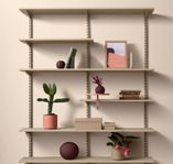 ARCHIVE SALE Toniton Sparring Shelves