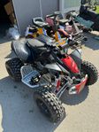 Can-Am DS 90 X-21