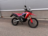 Honda CRF 300 Rally Demo