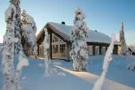 Lyxigt timmerhus Sälen Högfjället - Ski in/Ski out+längdspår