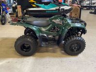 Yamaha YFM300 GRIZZLY