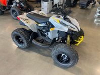 Can-Am Renegade STD 110 EFI Catalyst Gray & Neo-Yellow