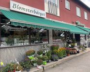 Blomsterbärget (BO-9036)