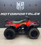 Arctic Cat 300 4X4