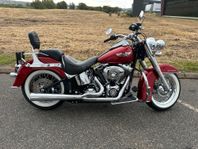 Harley-Davidson FLSTN Softail Deluxe Mkt Fint Skick !