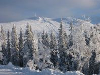 Lofsdalen Höglandet – Fjällen på riktigt