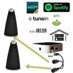 HALLAUDIO WiFi Streamer - Trådlös Audio till Beolab 9