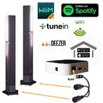 HALLAUDIO WiFi Streamer - Trådlös Audio till Beolab Penta