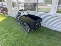 Cargo Bike-The Box