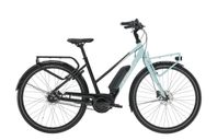 REA: Trek District+ 2 Stagger 500Wh stl L