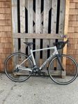 REA: Specialized Allez Sport stl 56 (L)