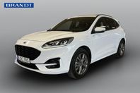 Ford Kuga Plug-In Hybrid ST-Line I Navi I Backkamera