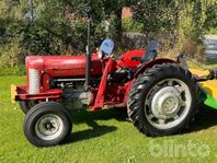 Veterantraktor Massey Ferguson 65