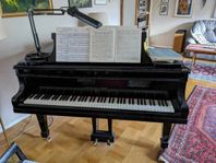 Steinway flygel modell O