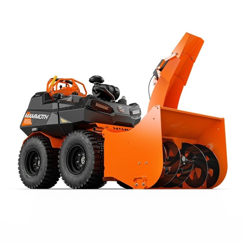 Ariens Mammoth Stand-on DEMO