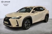 Lexus UX 250h Premium Teknik Mark Levinson Stereo Key Less P