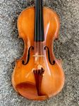 Vacker fransk viola altfiol 40cm