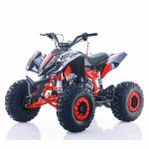 Fyrhjuling/Sportquad Viarelli Agrezza 125 V2