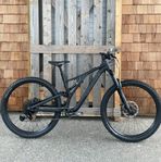 REA: Specialized Stumpjumper S4 (L)