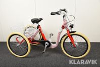 3-hjulig elcykel APL Sports utan batteri