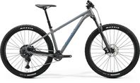 REA: Merida Big.Trail 500 stl L