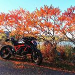 KTM 1290 Super Duke R 1.3 V-twin Euro 4