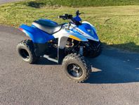 Polaris Phoenix 200 Köp online