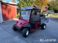 UTV Toro Workman e2065