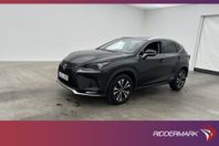 Lexus NX 300h 2.5 AWD 197hk Kyushu Edition Skinn Kamera Navi