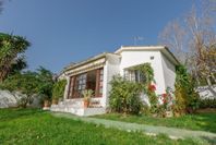 Villa i San Pedro de Alcantara, Malaga